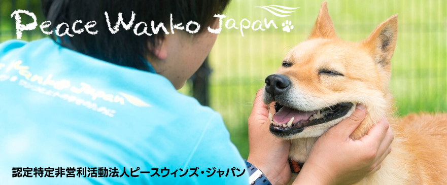 PWJサムネイル・モーダル画像_0420 (1)